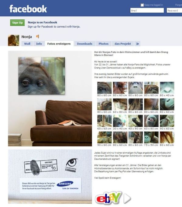 noni-facebook mit ebay Auktion